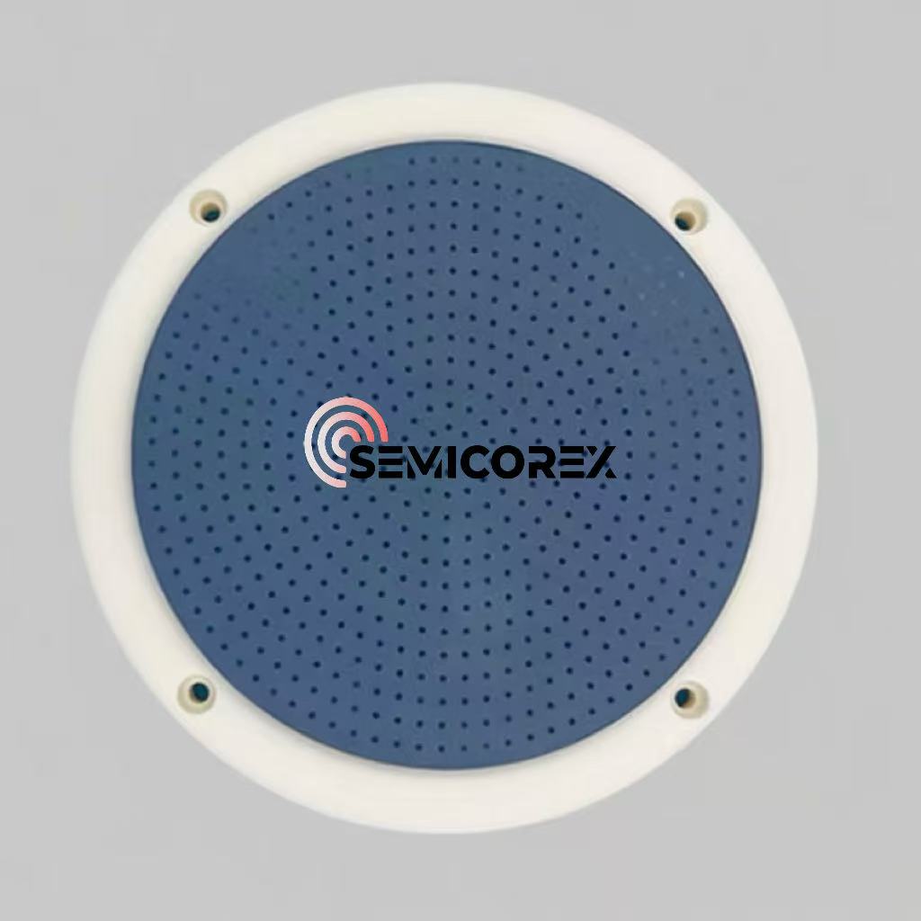 Mandrins électrostatiques en céramique