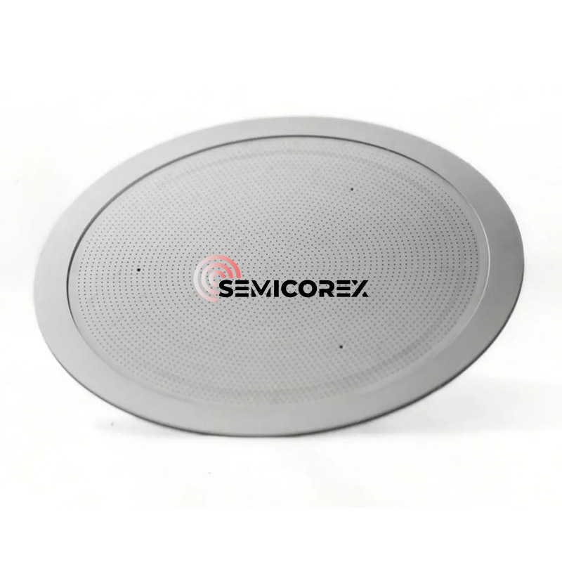 Pommeaux de douche CVD SiC