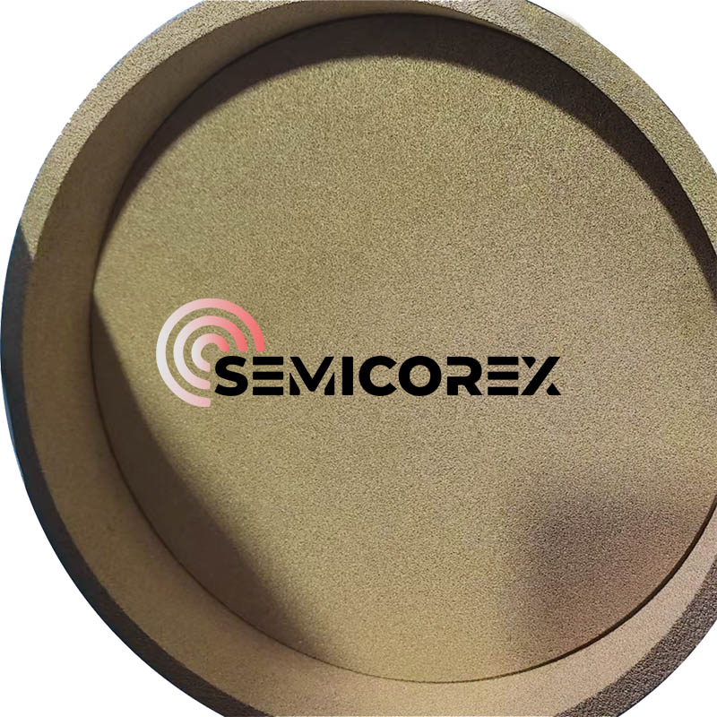 Anneaux poreux en carbure de tantale