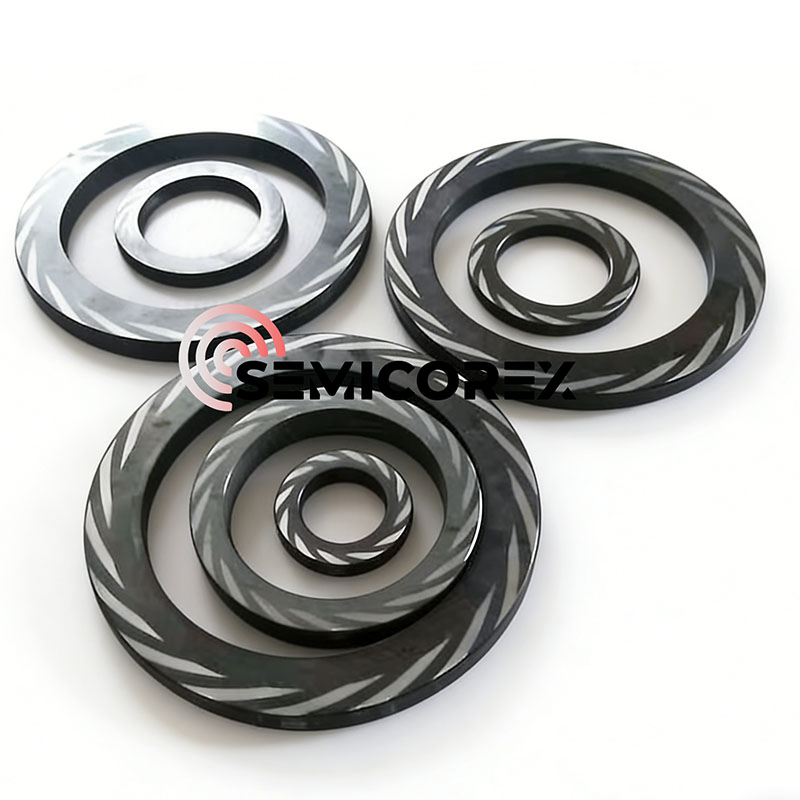 Face d'étanchéité SiC pour DGS